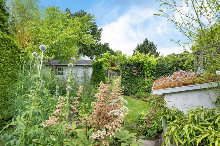 Foto 54 van Schoolstraat 2