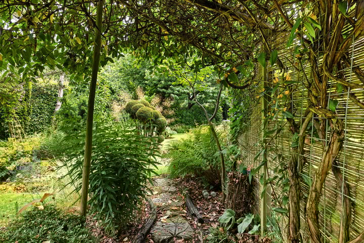 Foto 55 van Schoolstraat 2