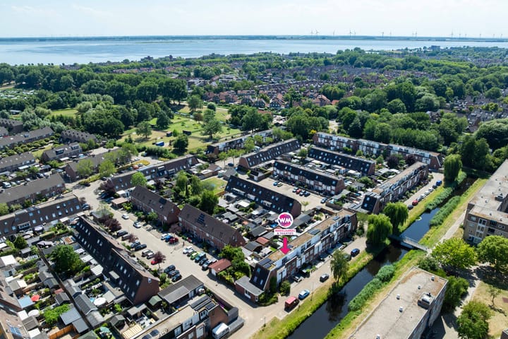 Photo 2 of Citroenvlinder 10