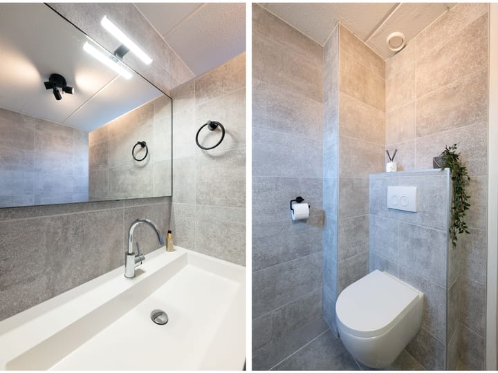 Photo 24 of Citroenvlinder 10