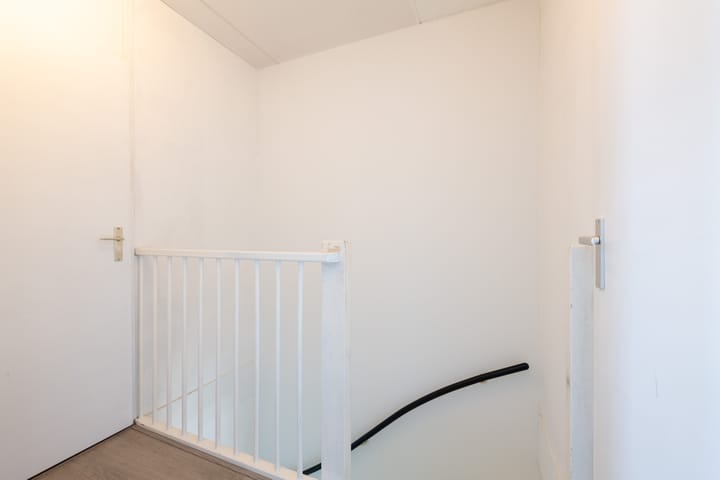 Photo 30 of Citroenvlinder 10