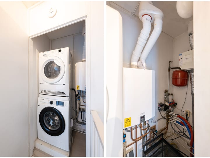 Photo 34 of Citroenvlinder 10