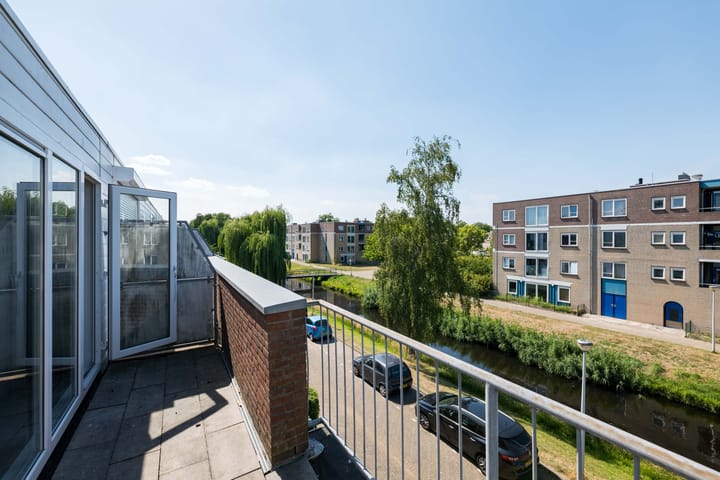 Photo 35 of Citroenvlinder 10