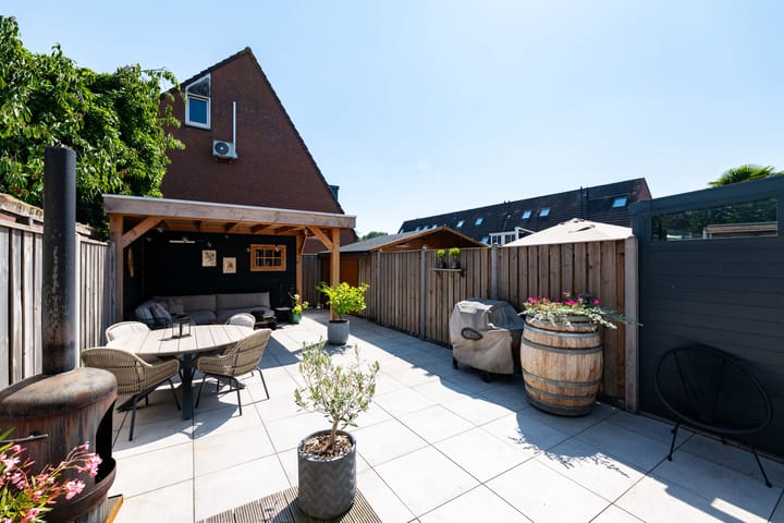 Photo 39 of Citroenvlinder 10