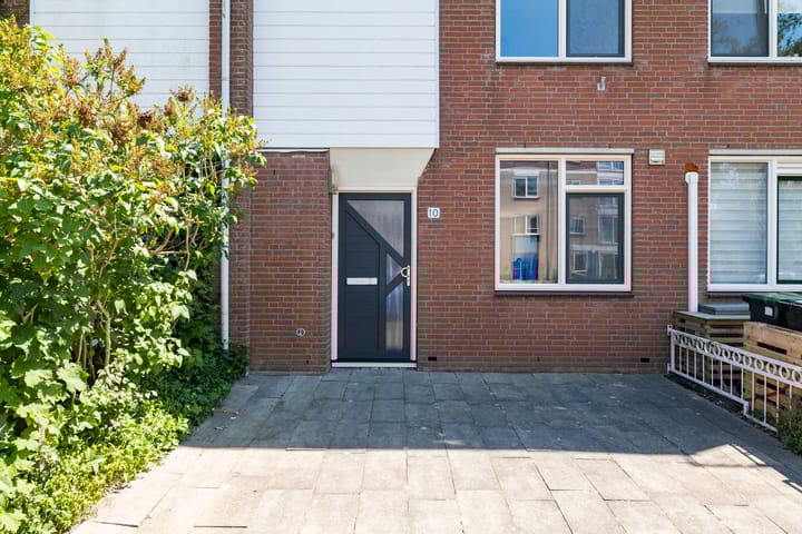 Photo 40 of Citroenvlinder 10