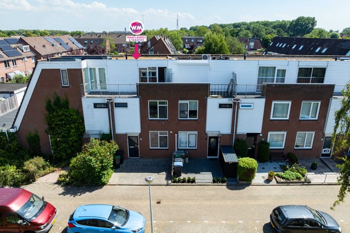 Photo 41 of Citroenvlinder 10