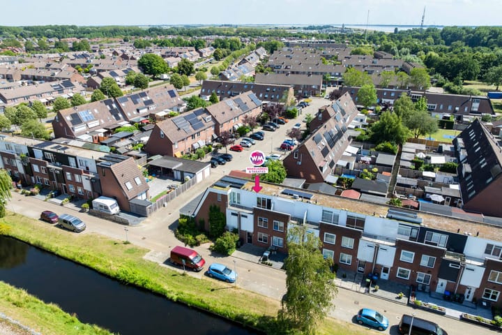 Photo 42 of Citroenvlinder 10