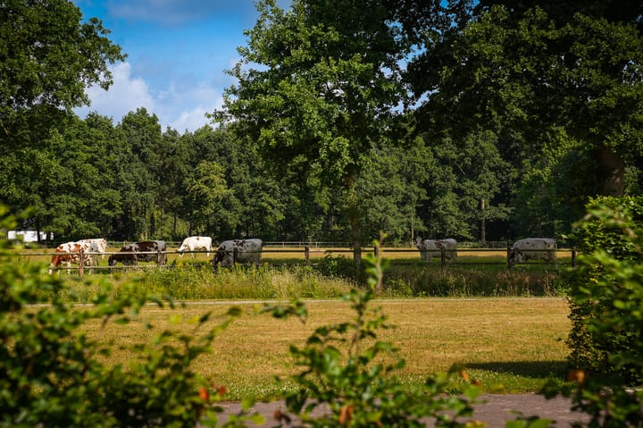 Foto 30 van Dr. J. v.d. Mortellaan 3