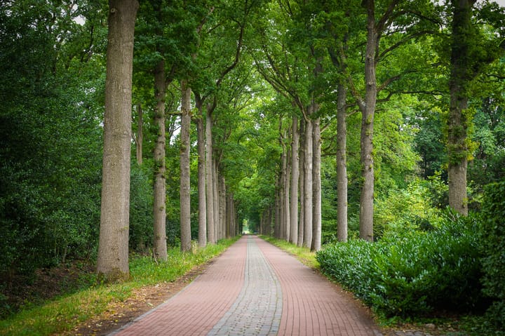 Foto 45 van Dr. J. v.d. Mortellaan 3