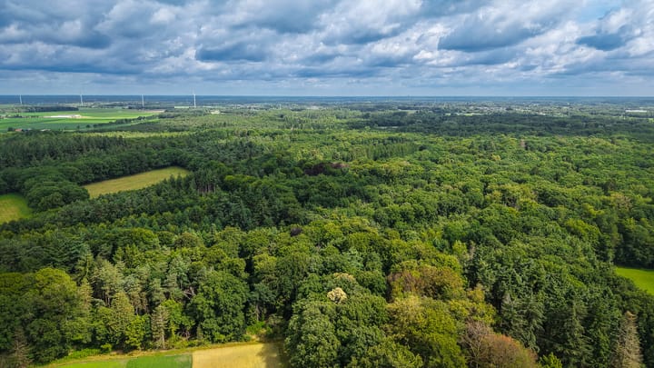 Foto 48 van Dr. J. v.d. Mortellaan 3