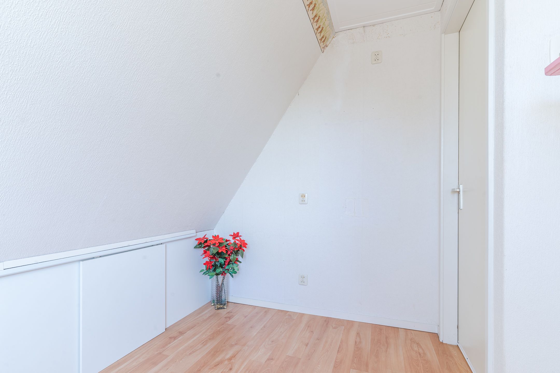 Foto 45 van Schoener 19