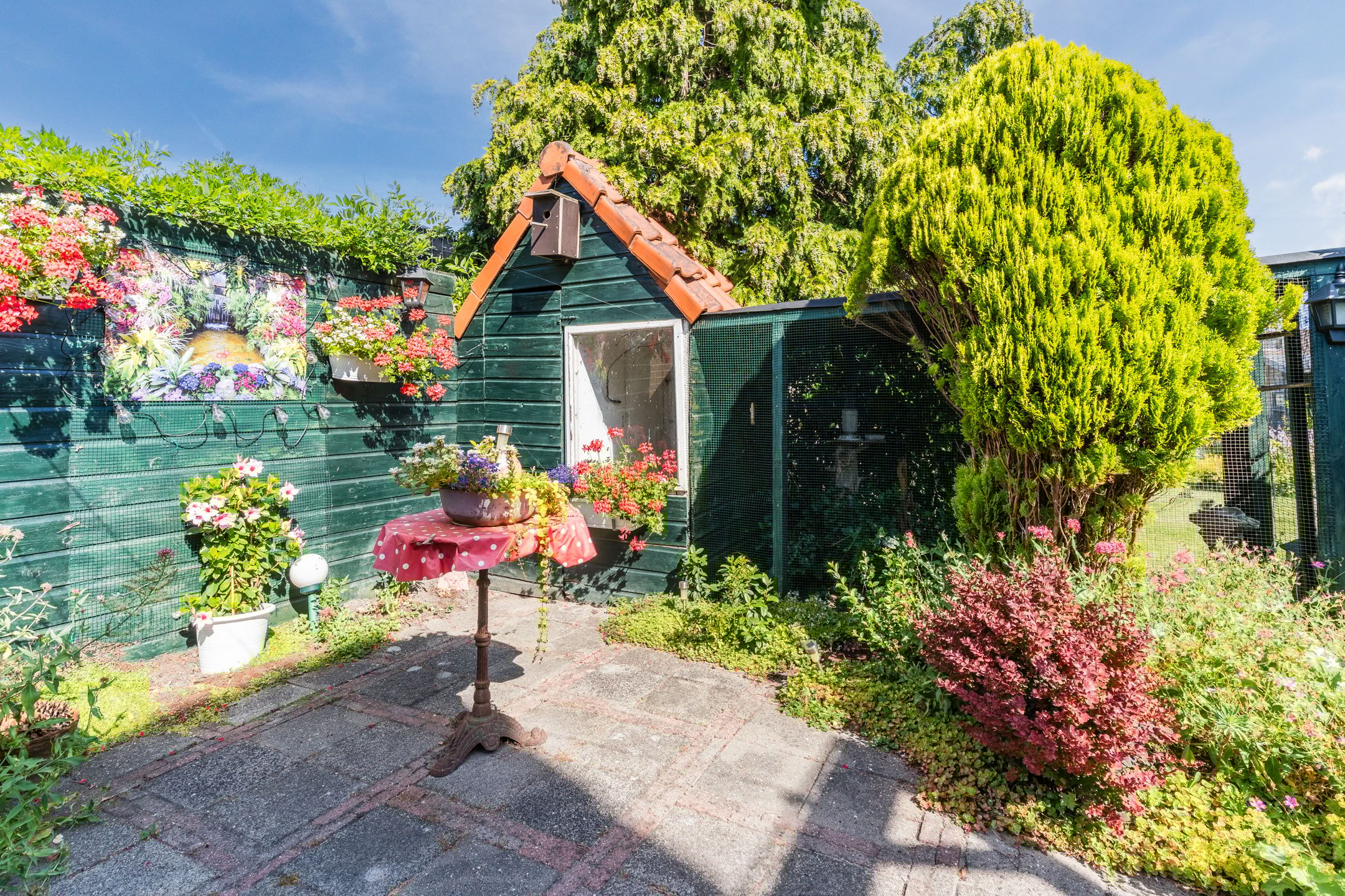 Foto 63 van Schoener 19