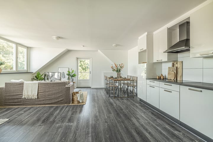 Foto 5 van Burgemeester Roosstraat 48-D