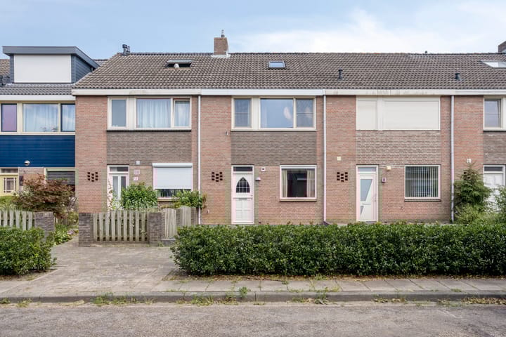 undefined main image