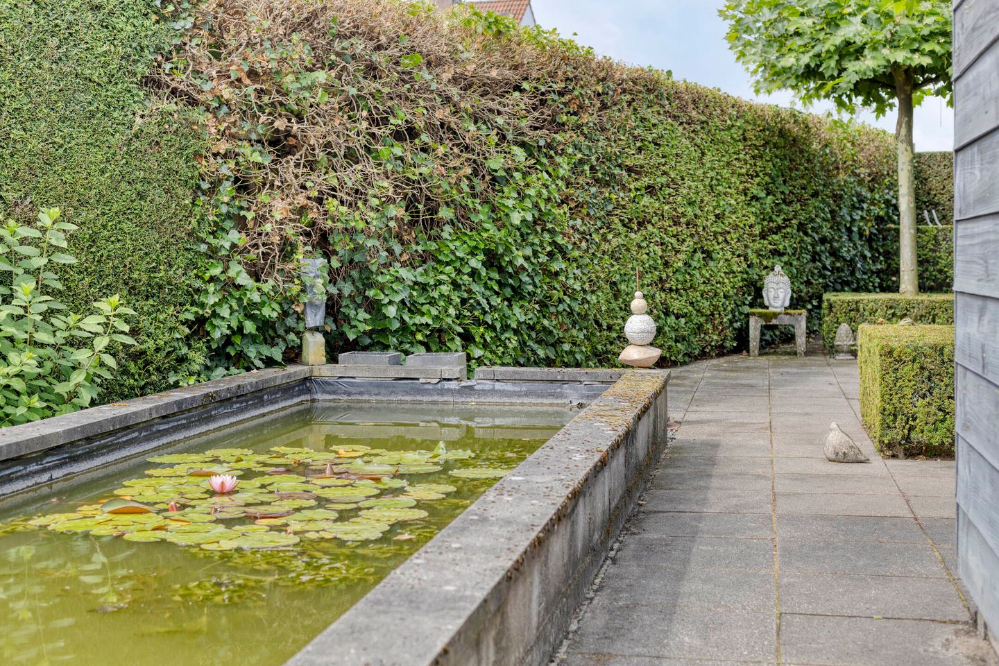 Foto 50 van Bruine Akkers 48