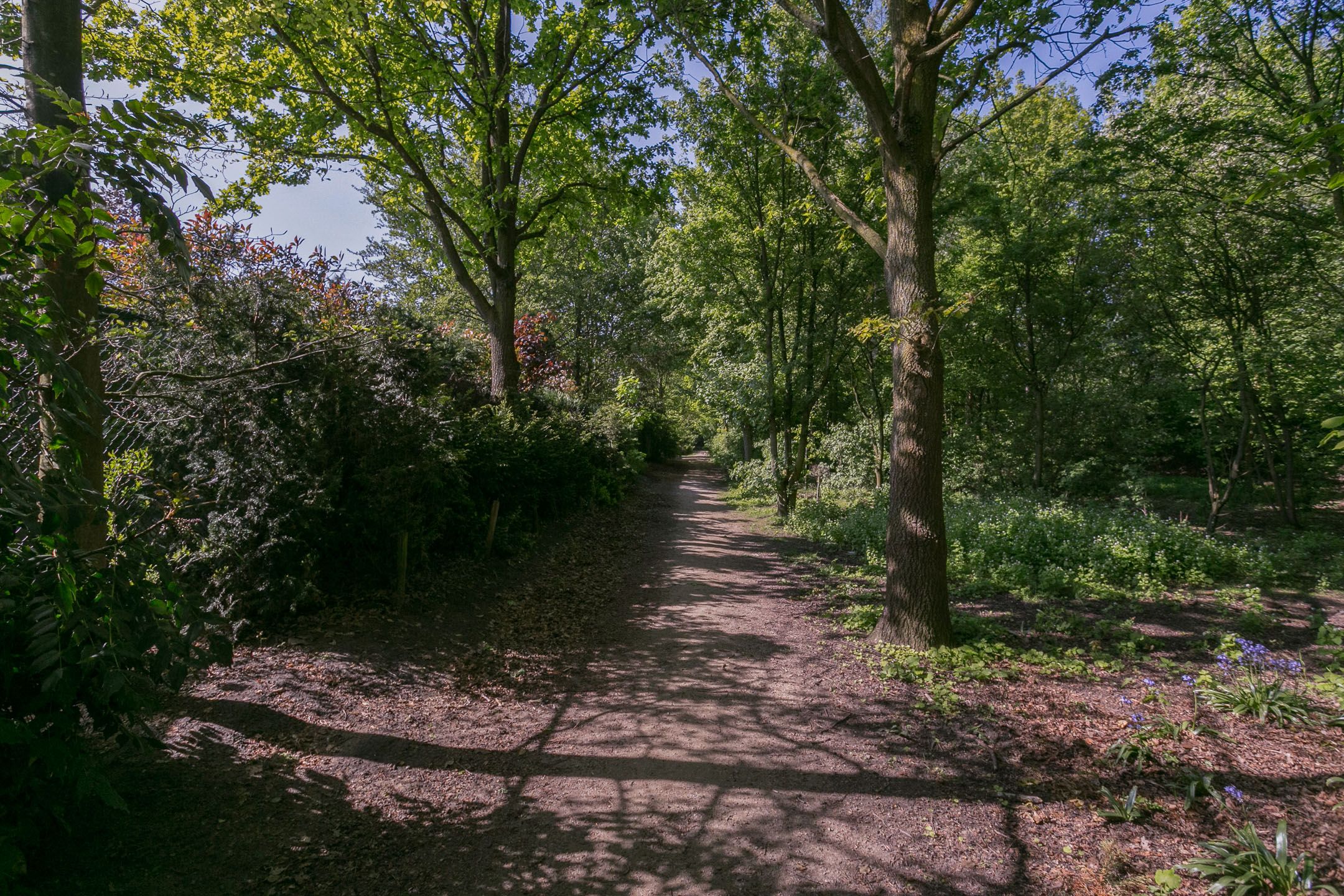 Foto 60 van Bruine Akkers 48