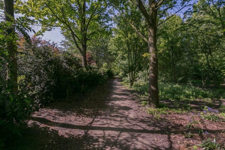 Foto 60 van Bruine Akkers 48