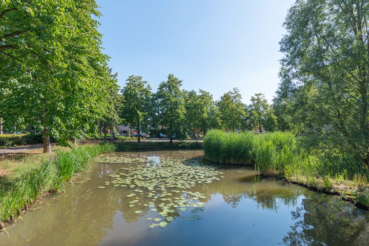 Foto 26 van Zuiderbreedte 21