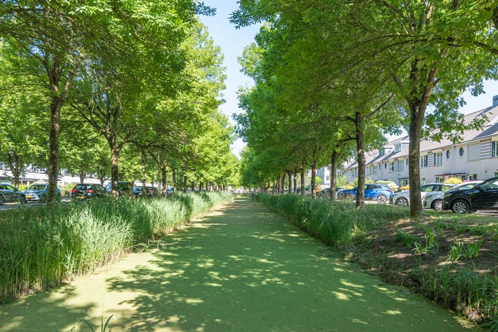 Foto 27 van Zuiderbreedte 21