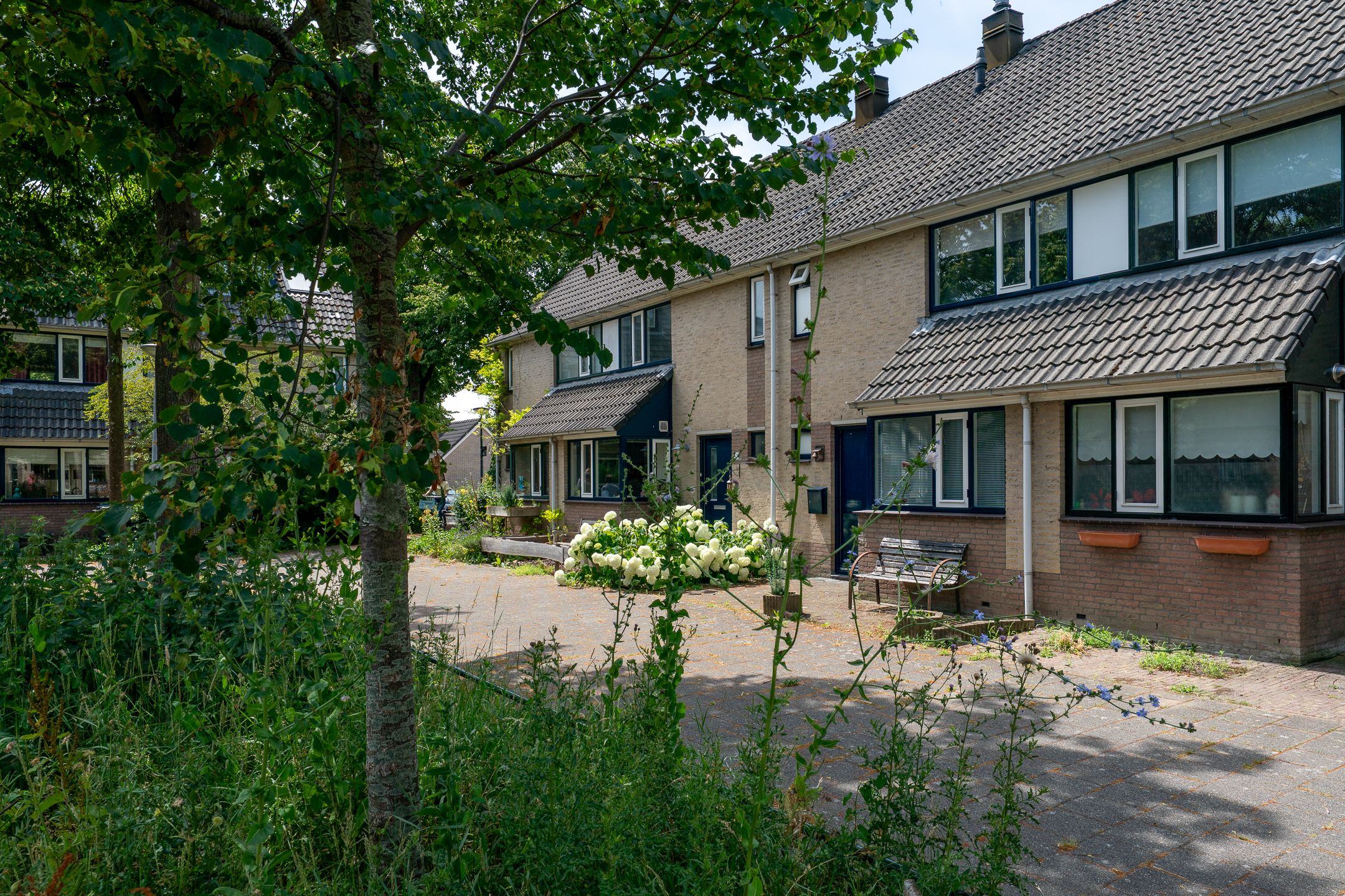 Photo 39 of Daalmeerpad 51