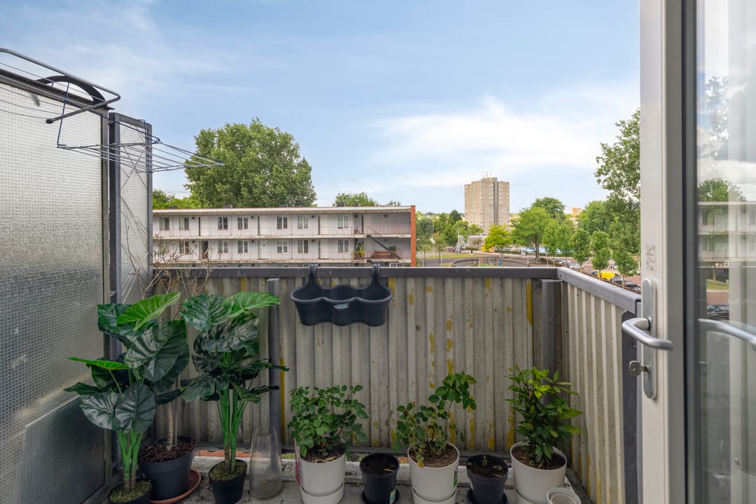 Foto 11 van Dijkgraafplein 255