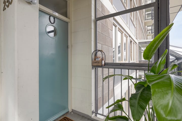 Foto 24 van Dijkgraafplein 255