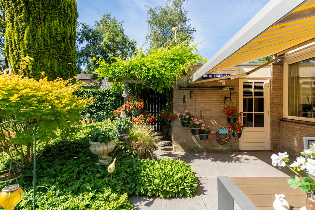 Foto 50 van Tobias Asserlaan 75