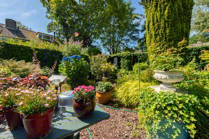 Foto 47 van Tobias Asserlaan 75