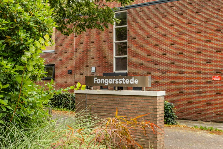 Foto 5 van Fongersplaats 41