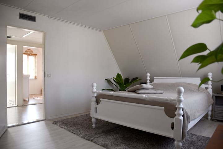 Foto 20 van Meester van der Meistraat 46