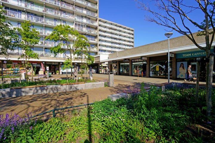 Foto 17 van Escamplaan 538