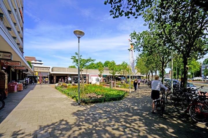 Foto 16 van Escamplaan 538