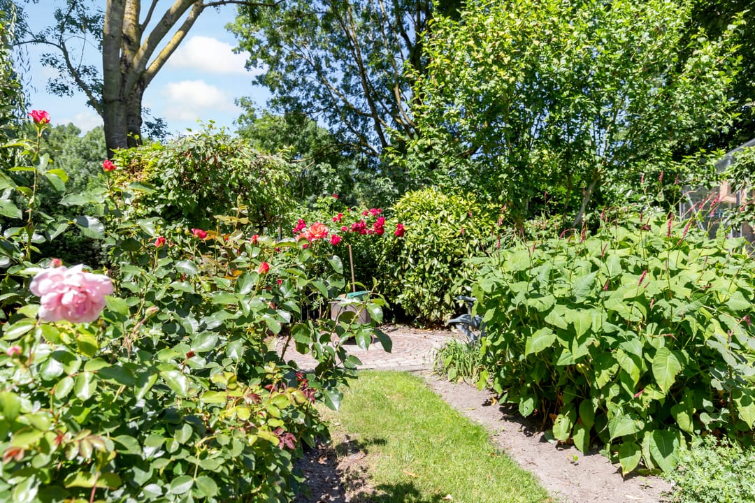 Foto 37 van Breezand 20