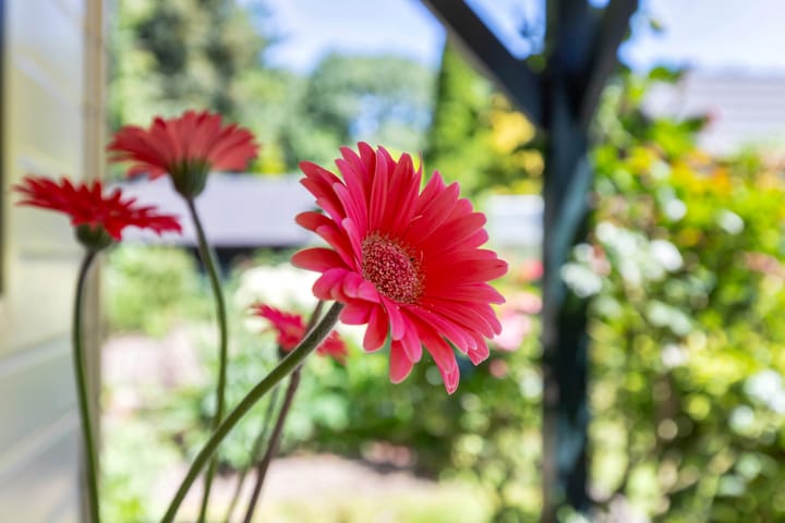 Photo 44 of Breezand 20