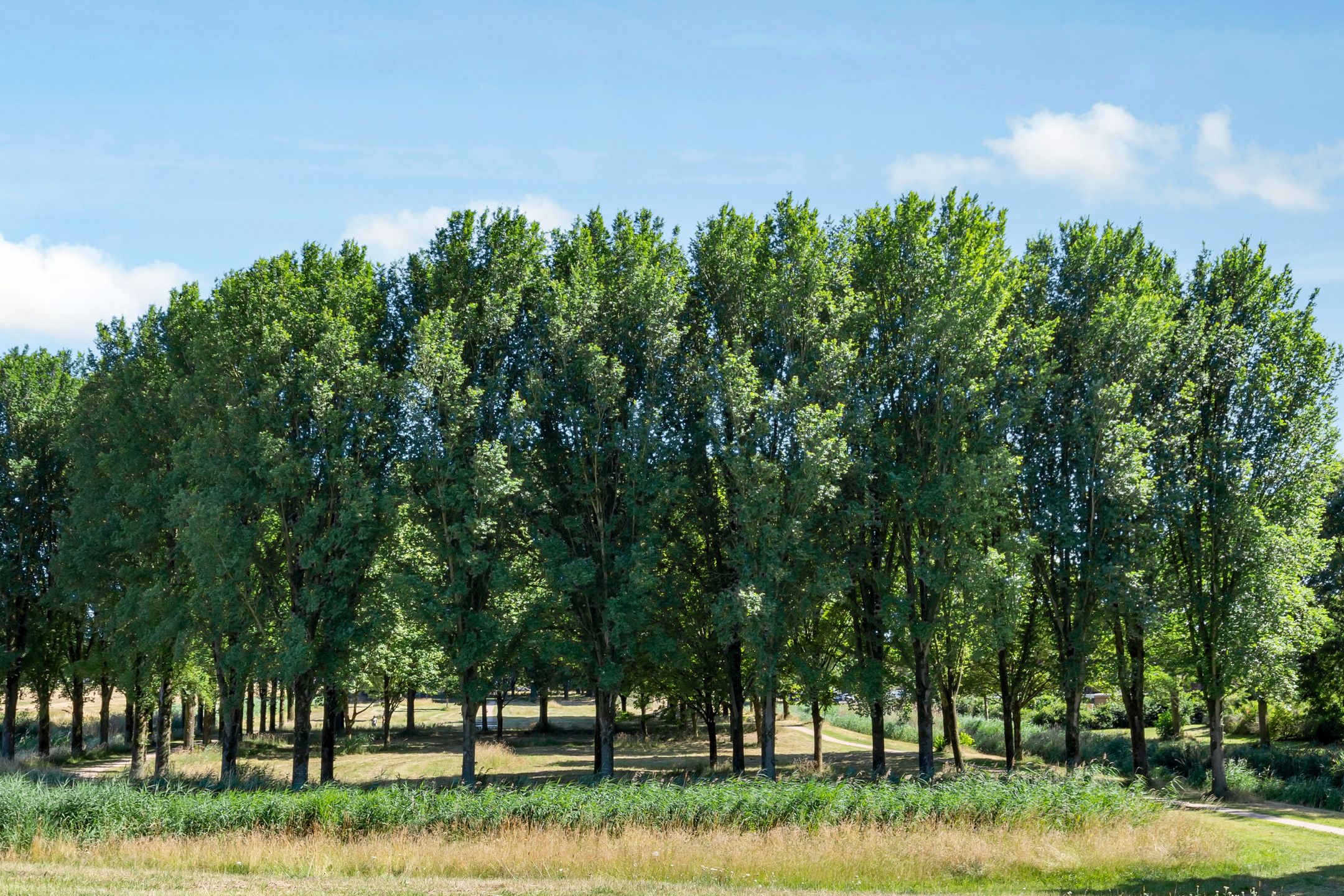 Foto 51 van Breezand 20