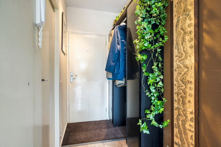 Foto 6 van Laan van Vollenhove 956