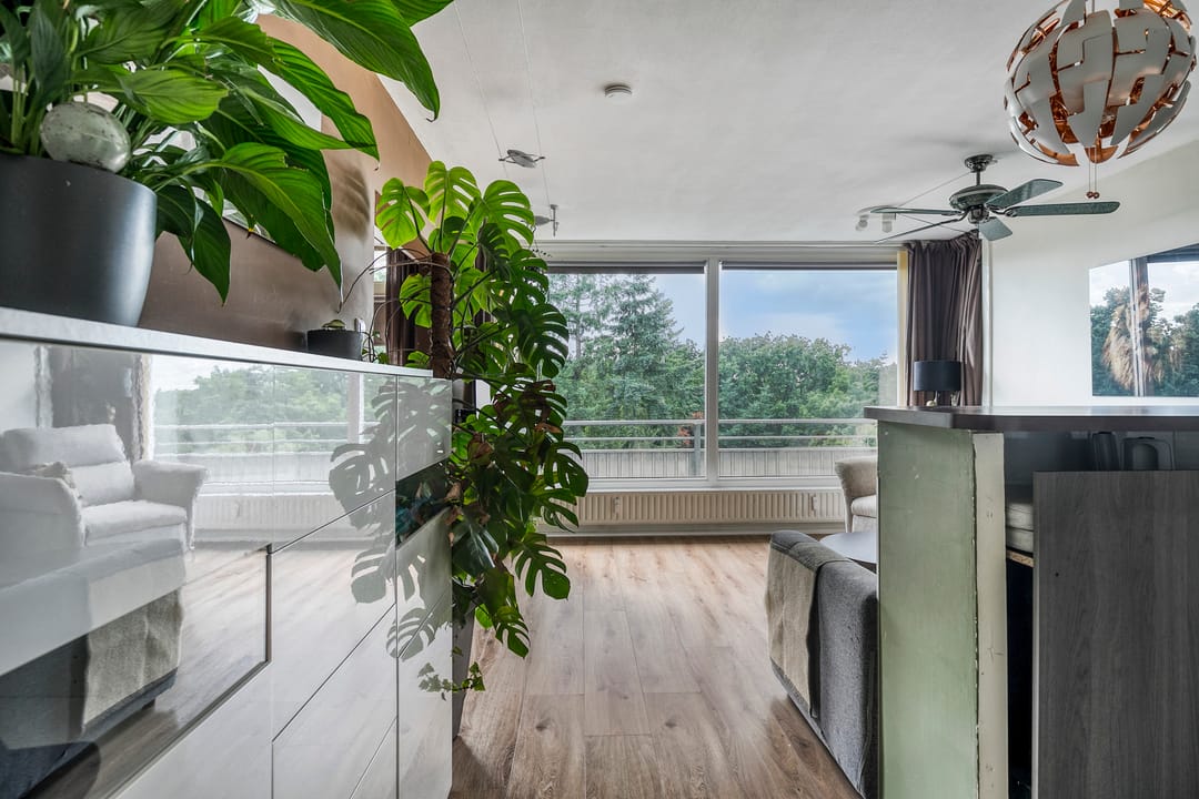 Foto 7 van Laan van Vollenhove 956