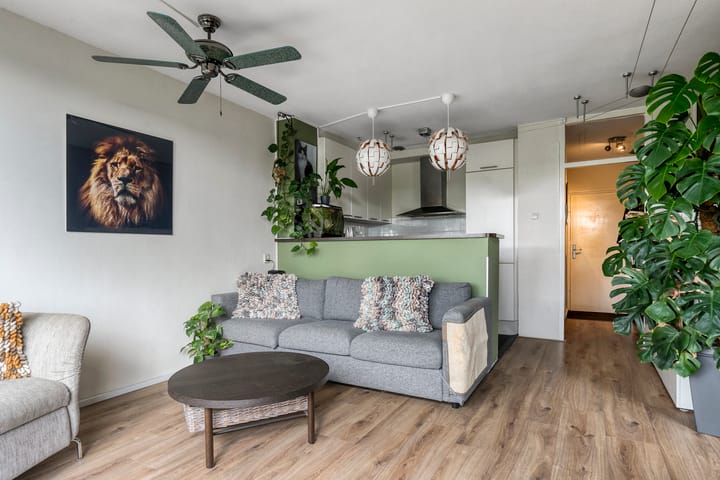 Foto 9 van Laan van Vollenhove 956