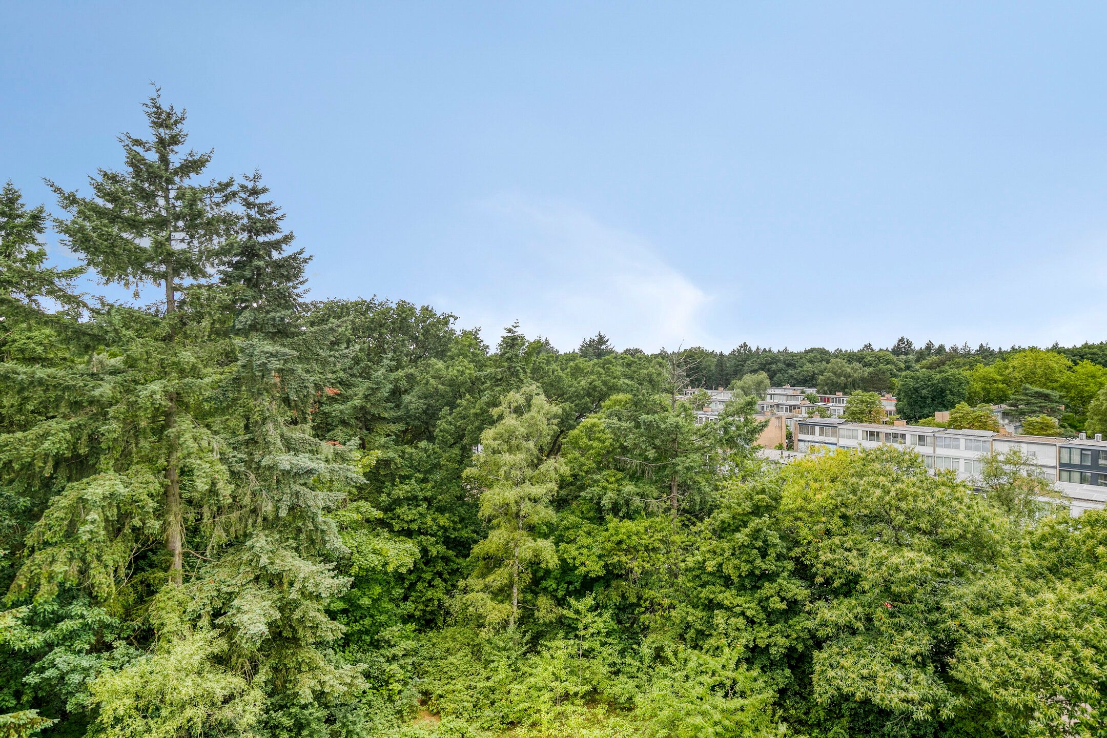 Foto 21 van Laan van Vollenhove 956