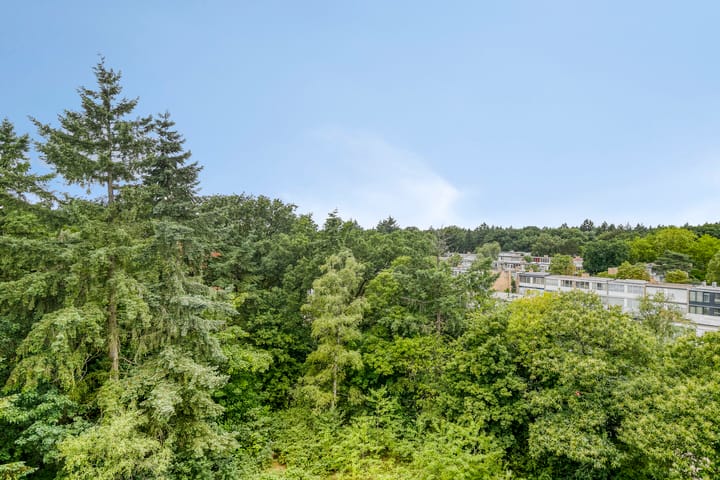 Foto 21 van Laan van Vollenhove 956