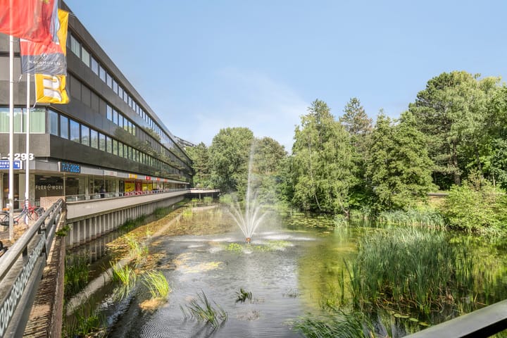 Foto 22 van Laan van Vollenhove 956