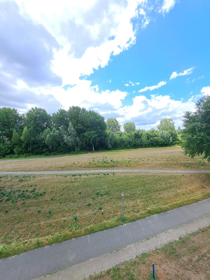 Foto 23 van Houtstraat 59