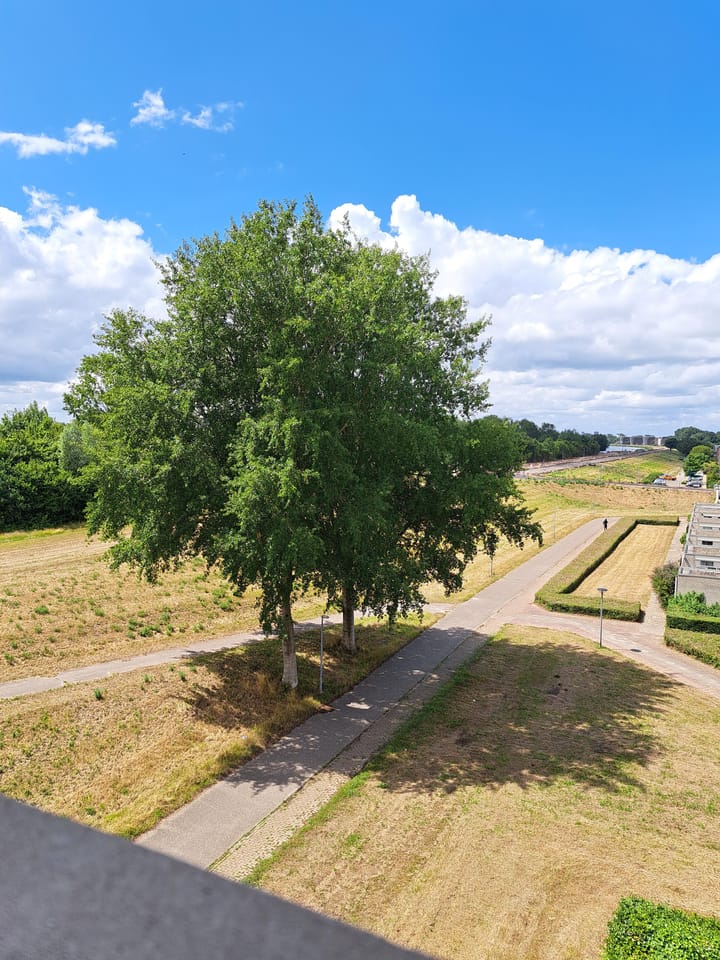 Foto 24 van Houtstraat 59