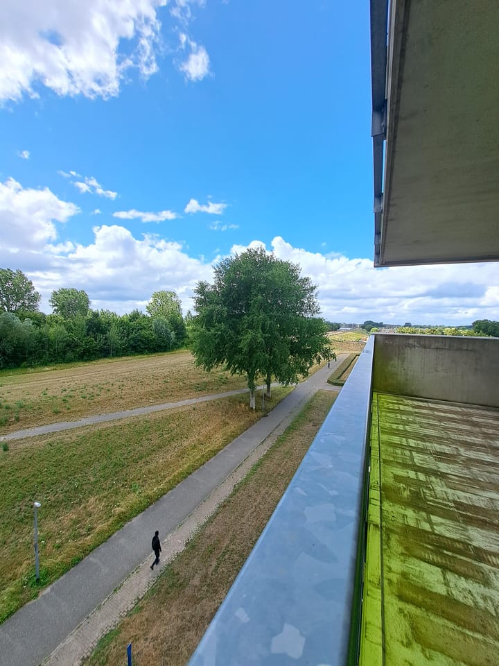 Foto 21 van Houtstraat 59