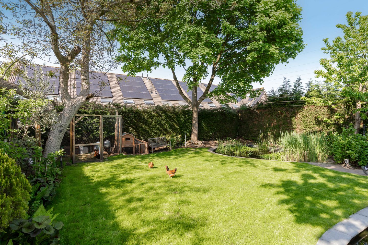 Foto 14 van Achterstraat 54-A