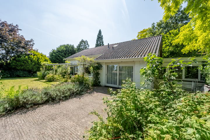 Foto 4 van Everocken 16