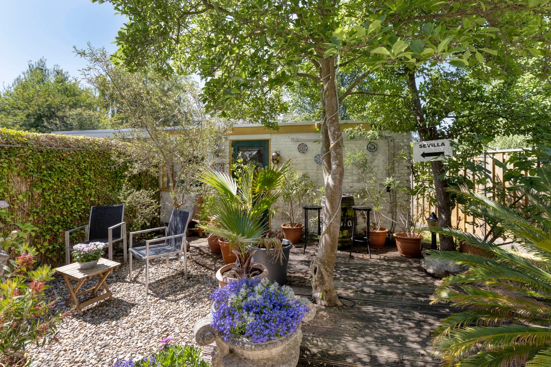 Foto 16 van Ranonkellaan 12