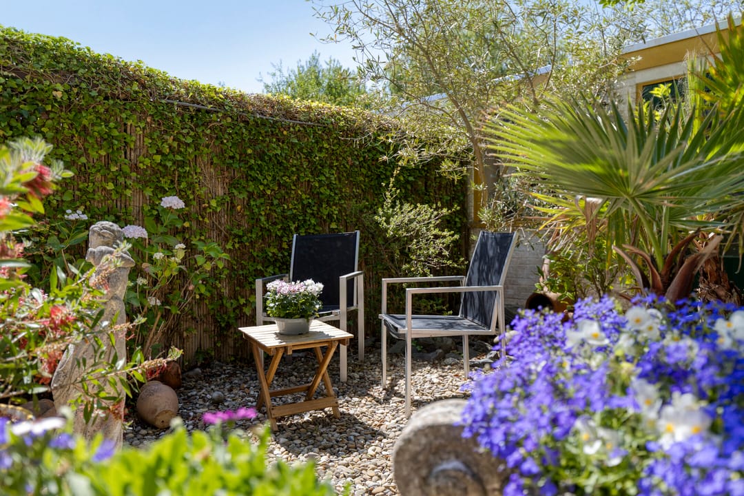 Foto 17 van Ranonkellaan 12