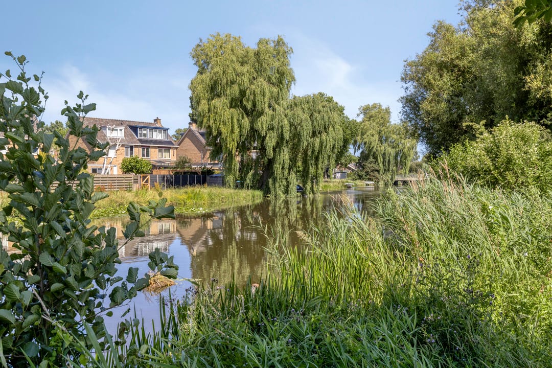 Foto 32 van Ranonkellaan 12