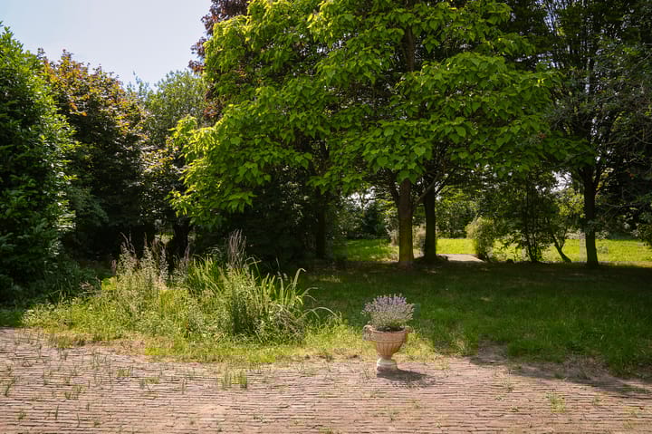 Foto 38 van Elster Grindweg 2